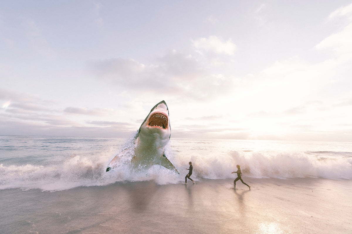 canvas-print-beware-shark