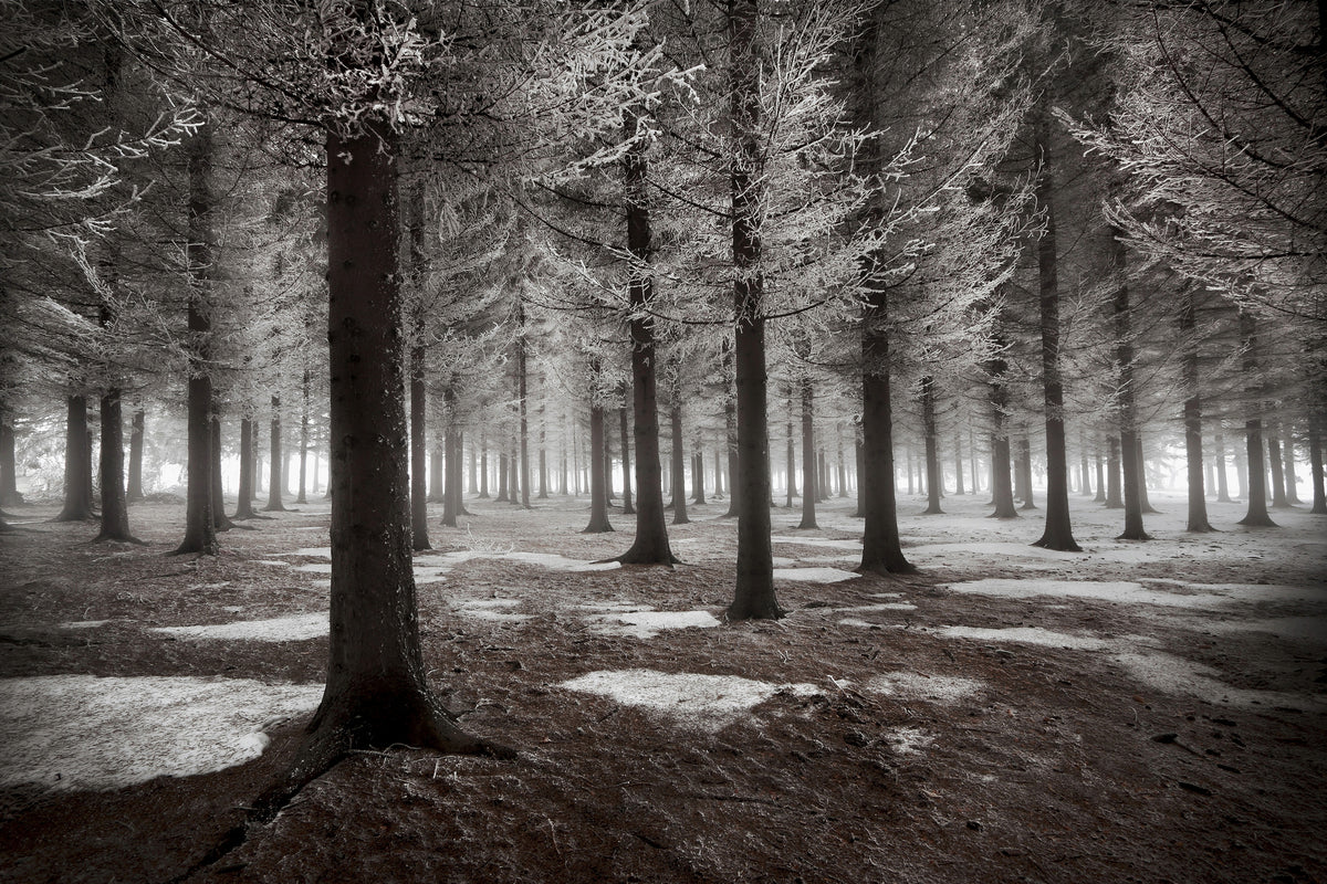 poster-print-the-onset-of-winter