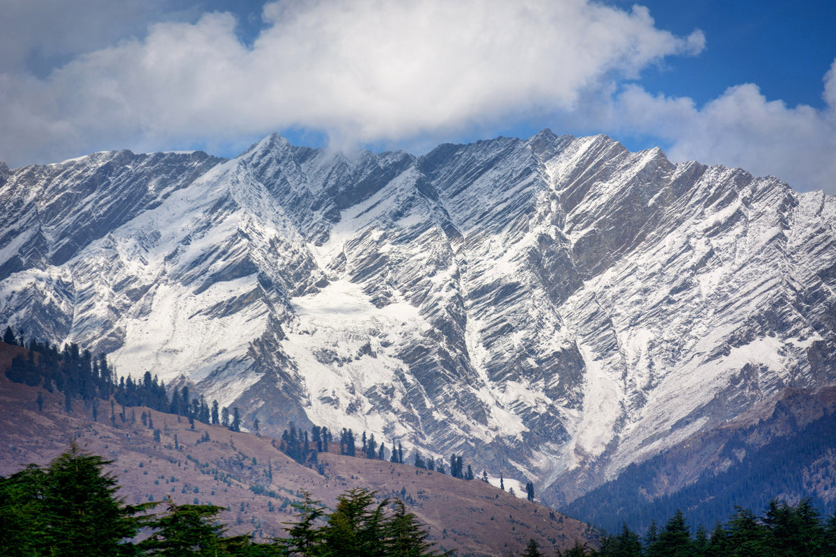 canvas-print-manali-india