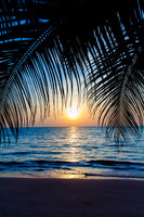 poster-print-through-the-palm