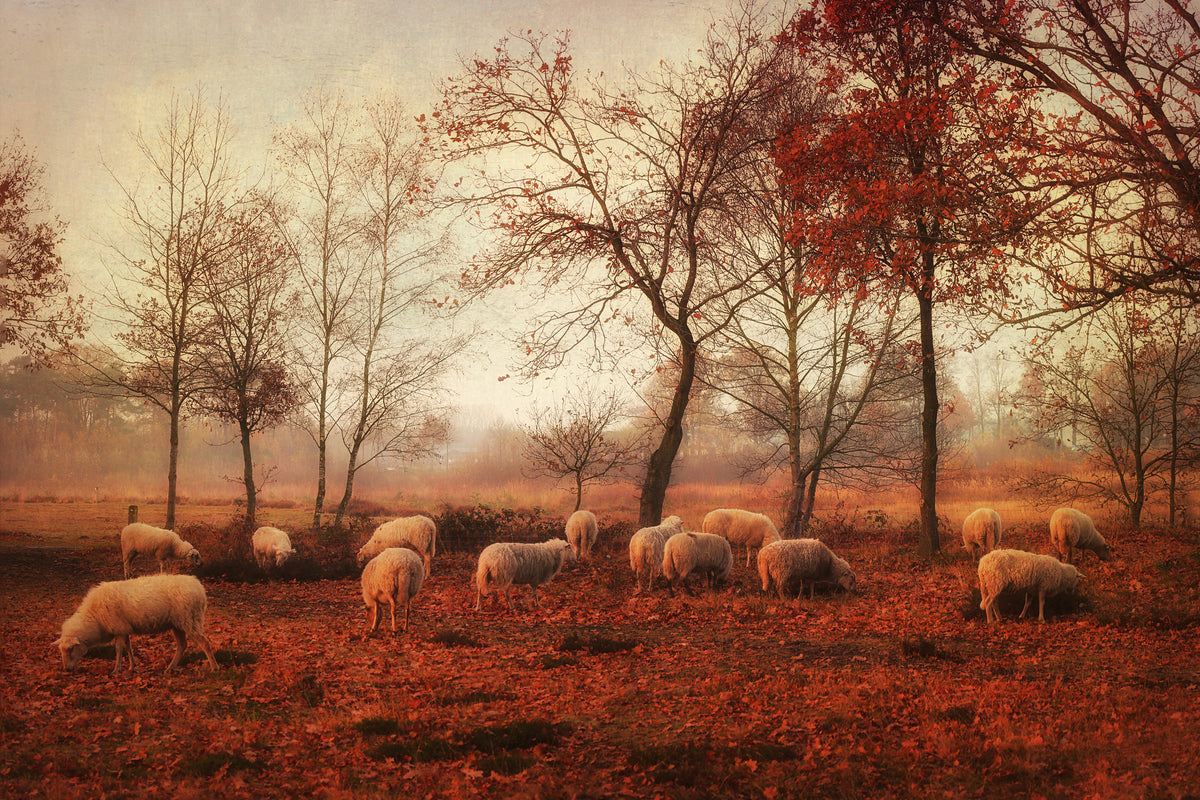 3-piece-canvas-print-last-days-of-autumn