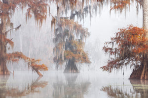 framedposter-print-mysty-bayou-x