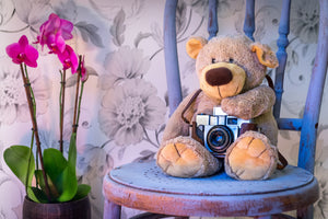 acrylic-print-camera-teddy-bear