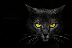 canvas-print-monster-kill-x