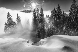 3-piece-acrylic-print-a-winter-tale