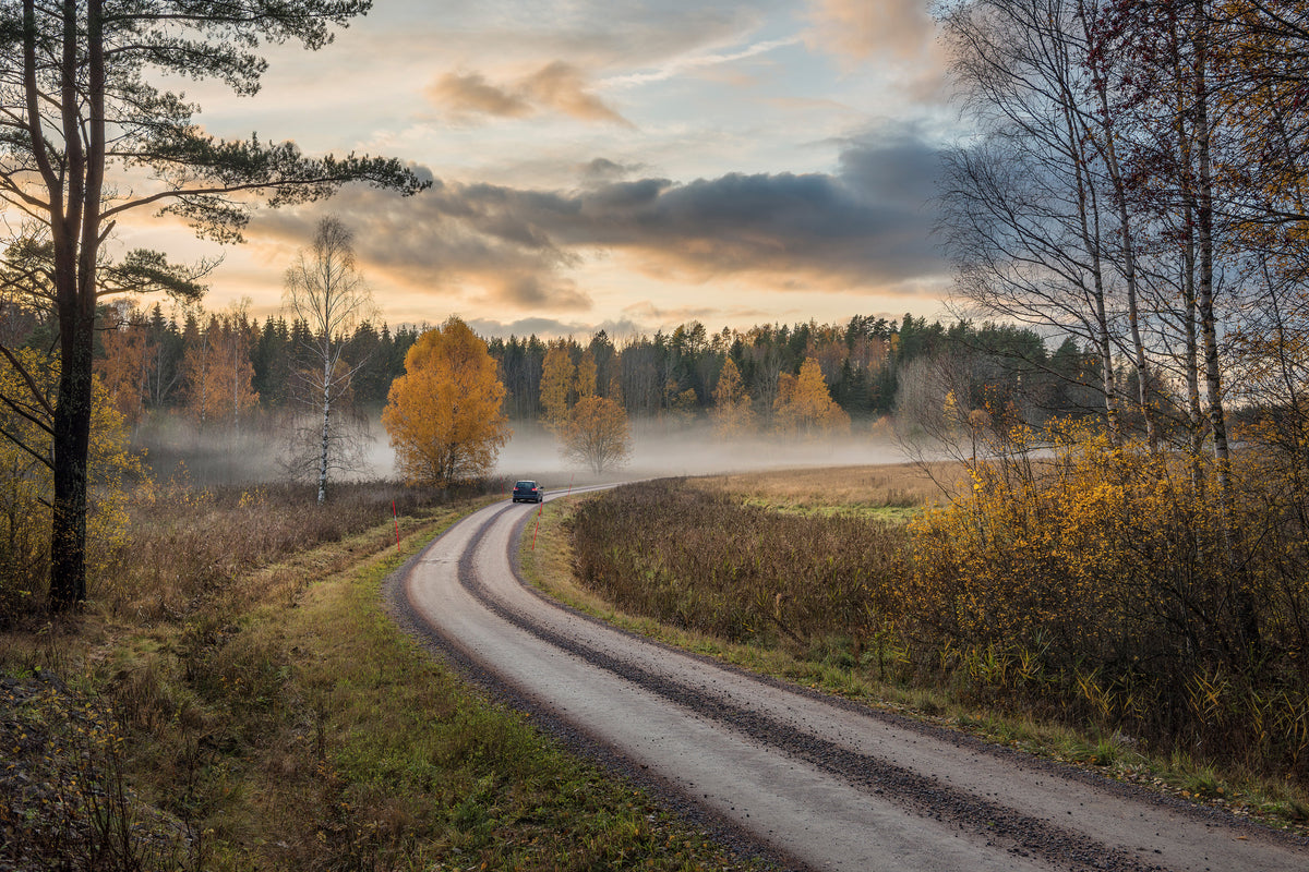 aluminium-print-drive-in-autumn-colors-x