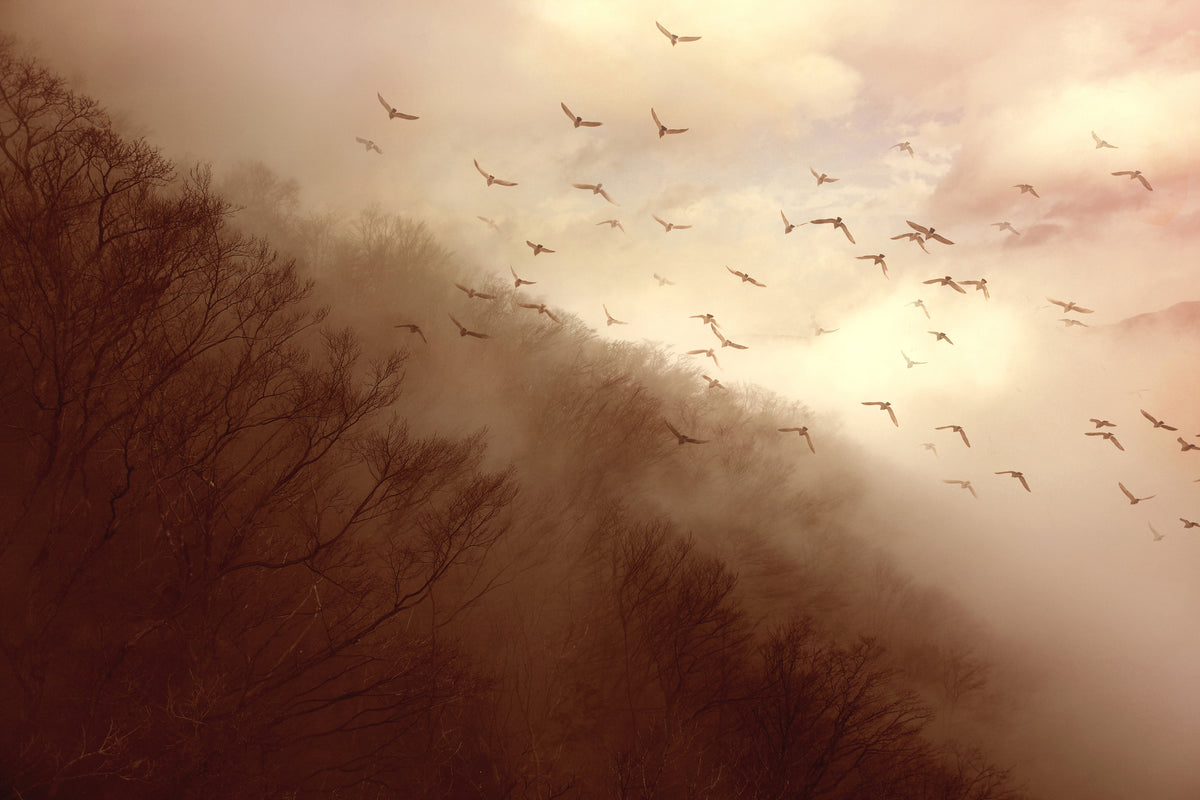 framedcanvas-print-departure