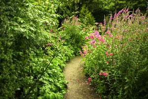 aluminium-print-garden-path