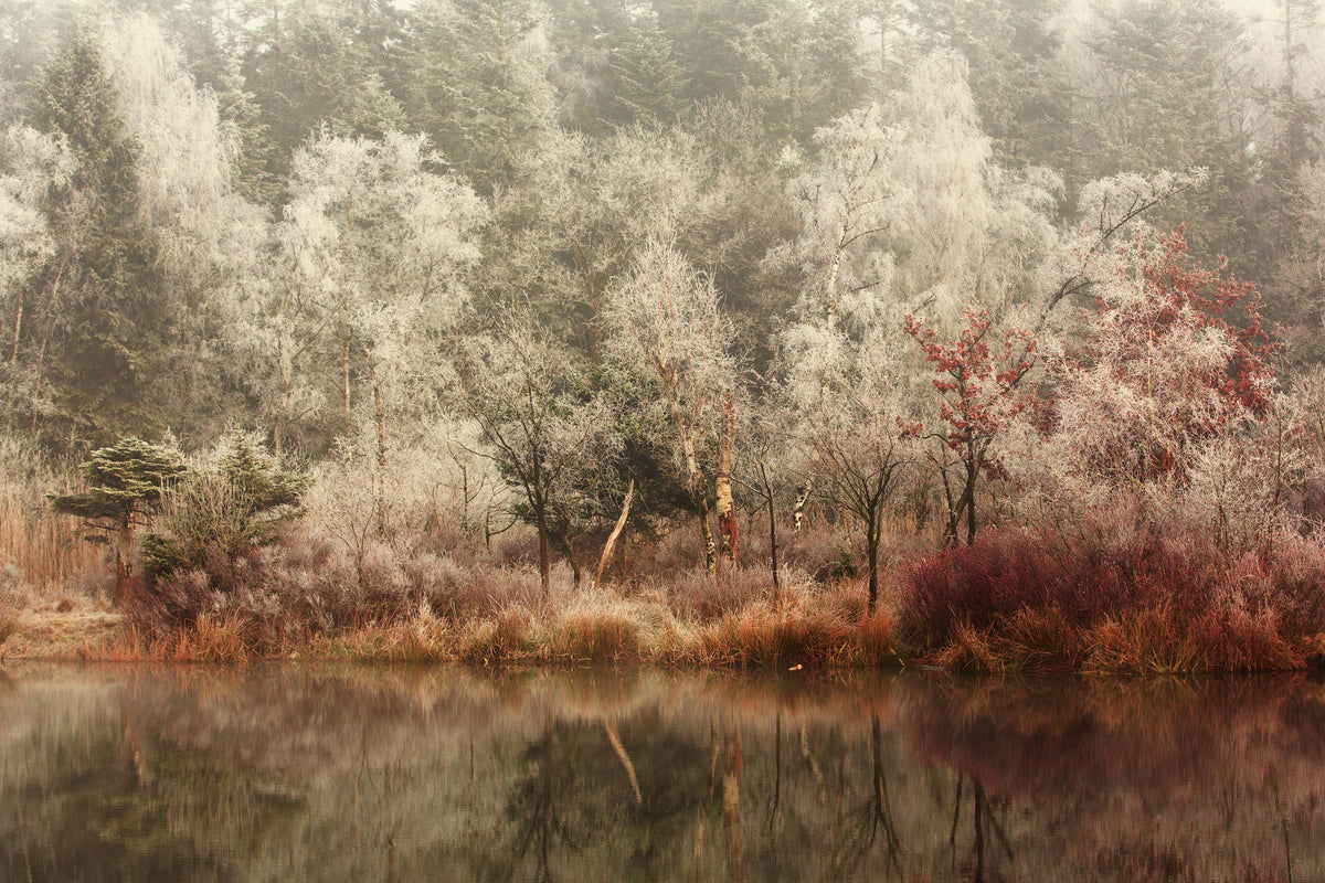 framedcanvas-print-frozen-x