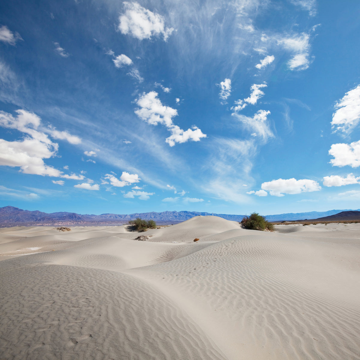 canvas-print-desert-landscape