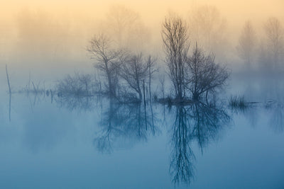 poster-print-morning-reflection-ii