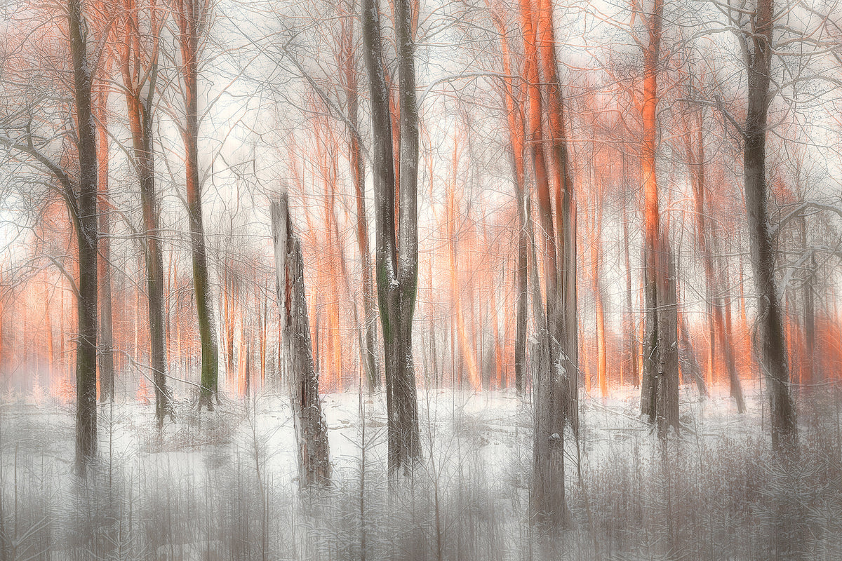 framedcanvas-print-evening-light