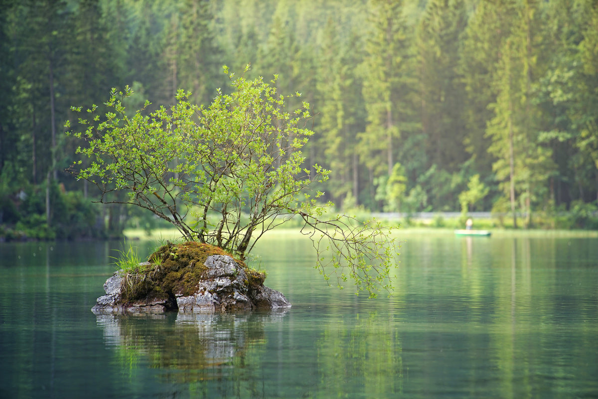 acrylic-print-the-pond-in-the-forest