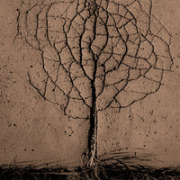 canvas-print-asphalt-tree