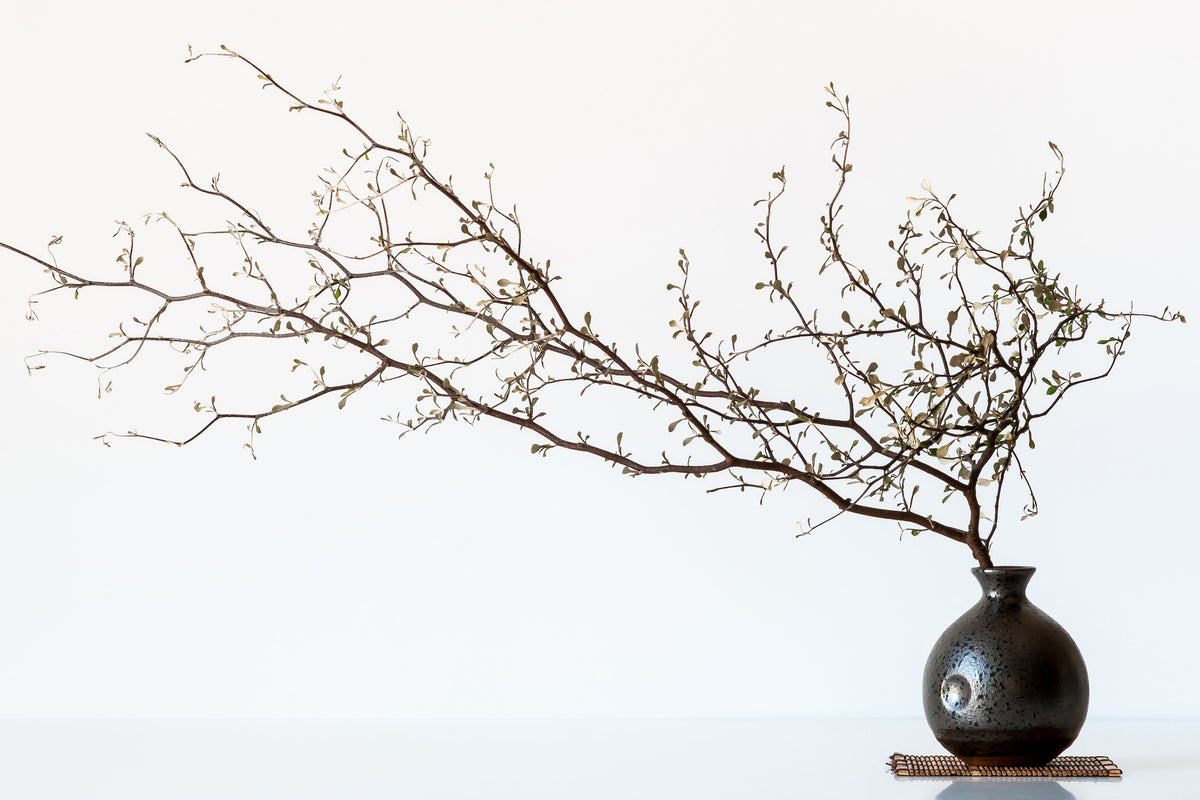 framedposter-print-vase-and-branch-x