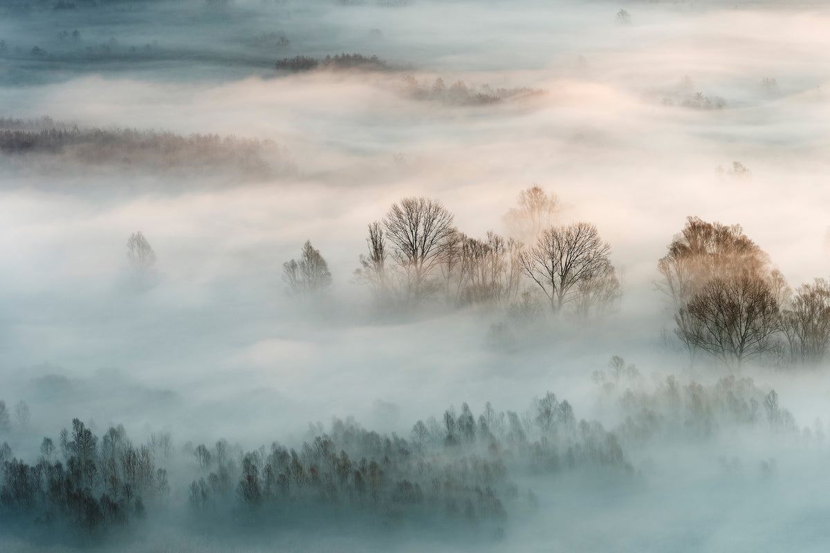 modern-3-piece-aluminium-print-winter-fog