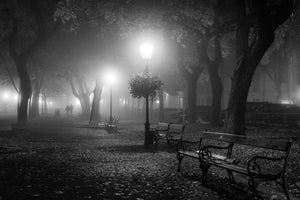 framedcanvas-print-foggy-day-x