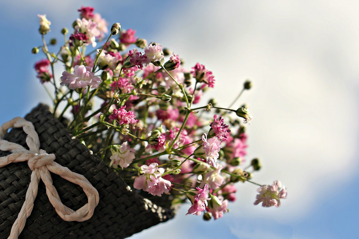modern-3-piece-acrylic-print-the-gypsophila