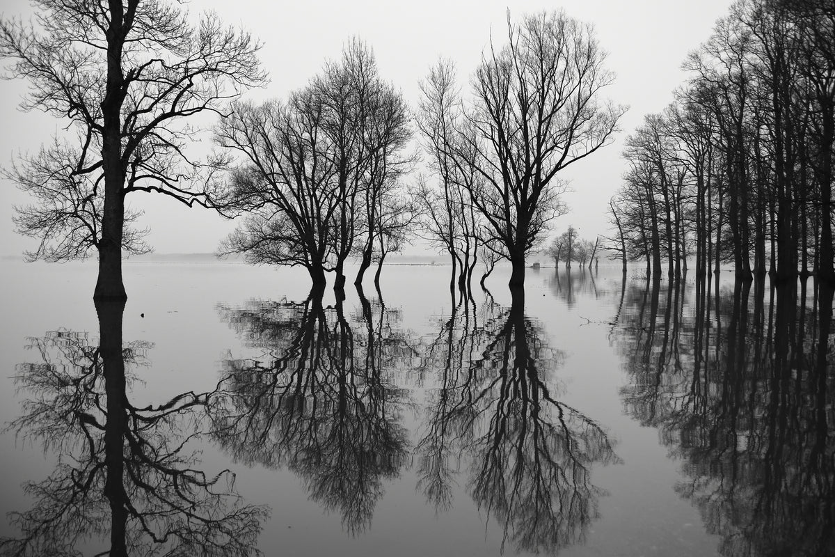 canvas-print-flood-x