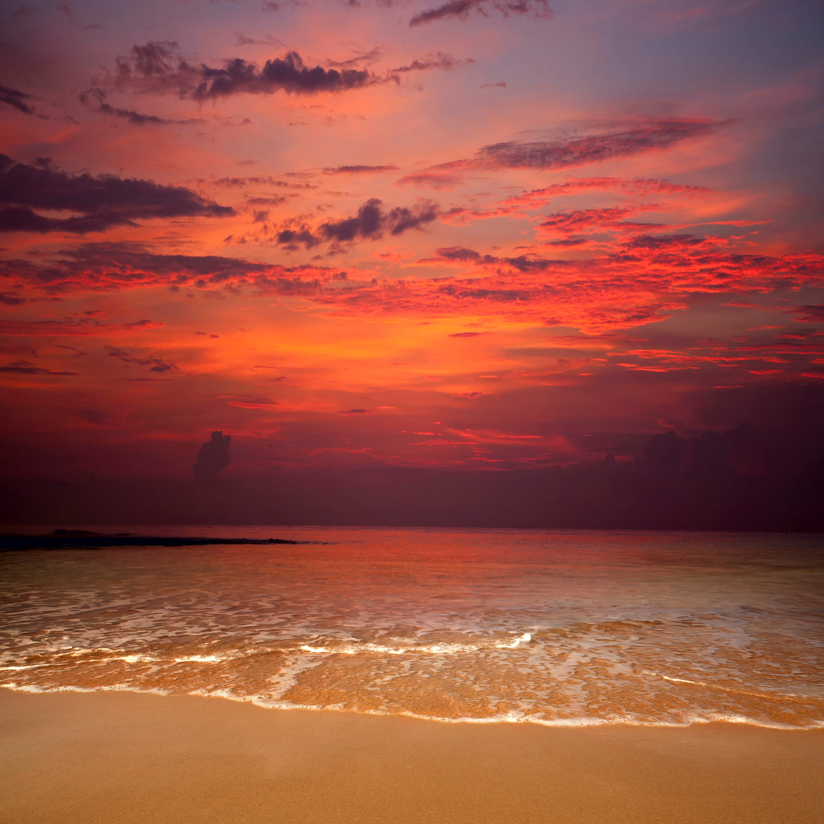 4-piece-canvas-print-line-on-the-sand