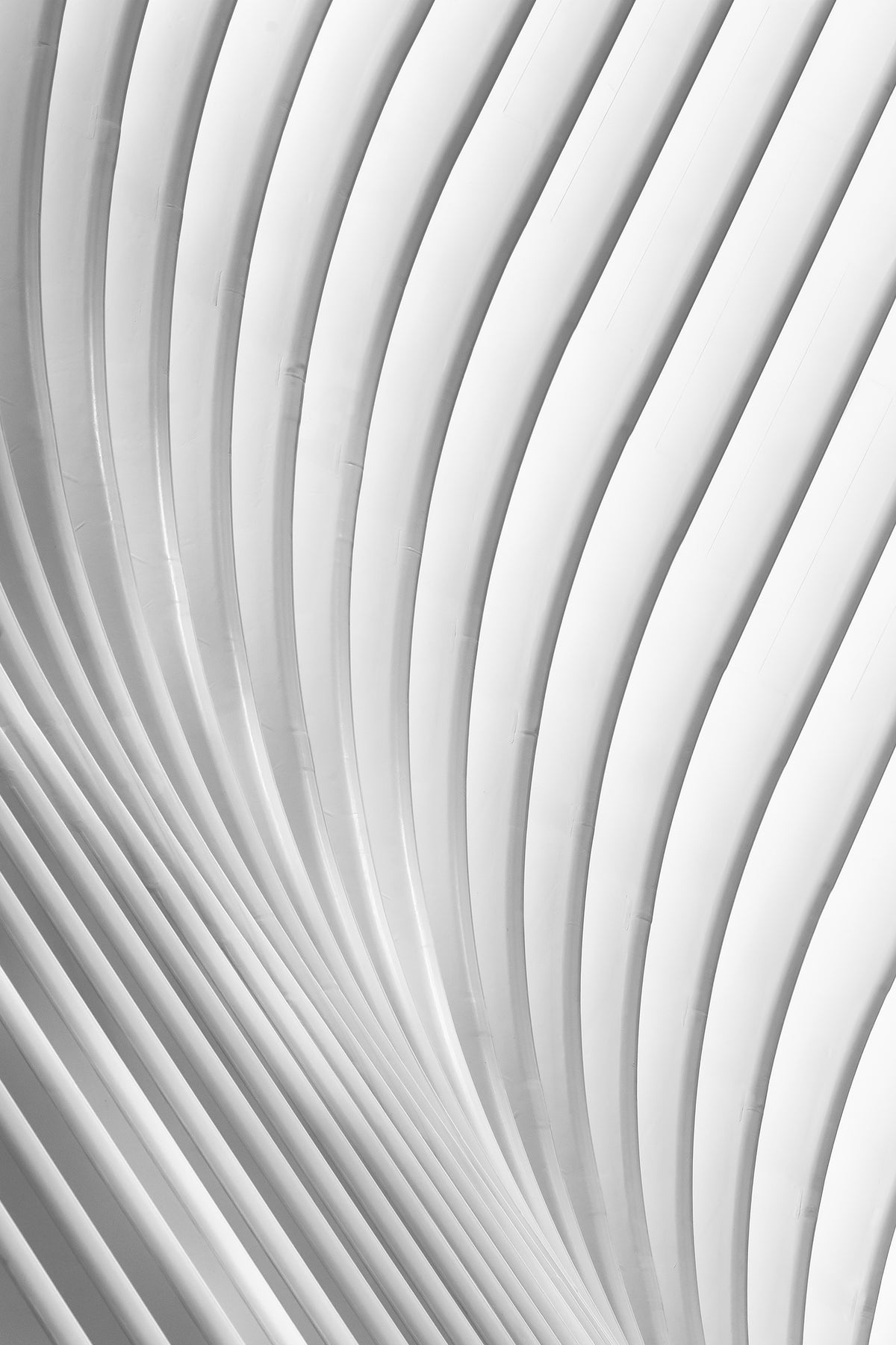 aluminium-print-calatrava-lines-x