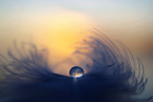 modern-3-piece-canvas-print-morning-ii