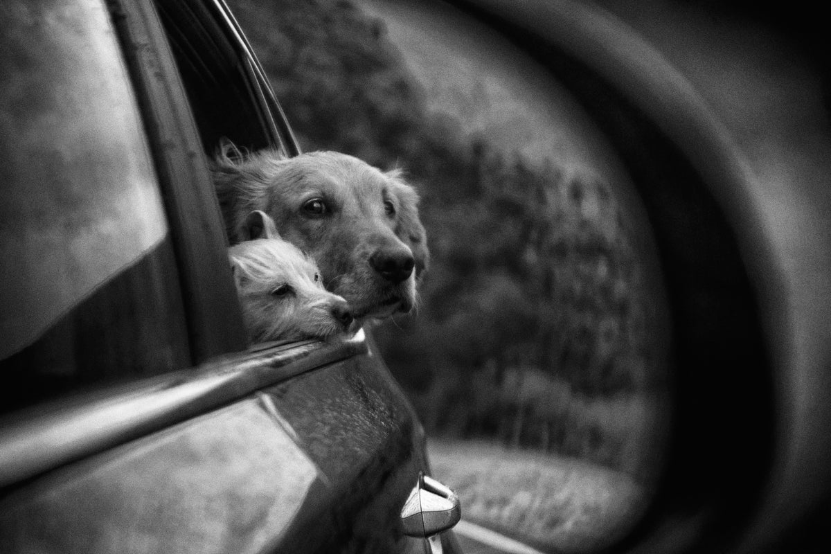 canvas-print-roadtrip-x