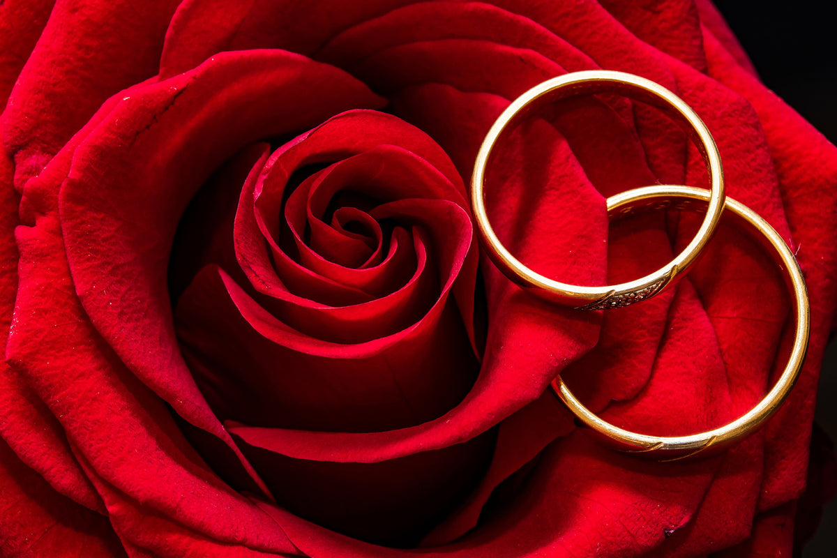 poster-print-wedding-rings-on-the-rose