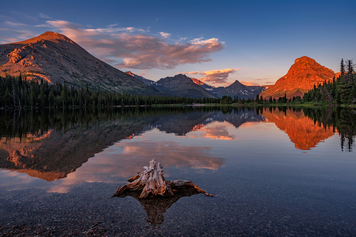 canvas-print-delightful-dawn-x