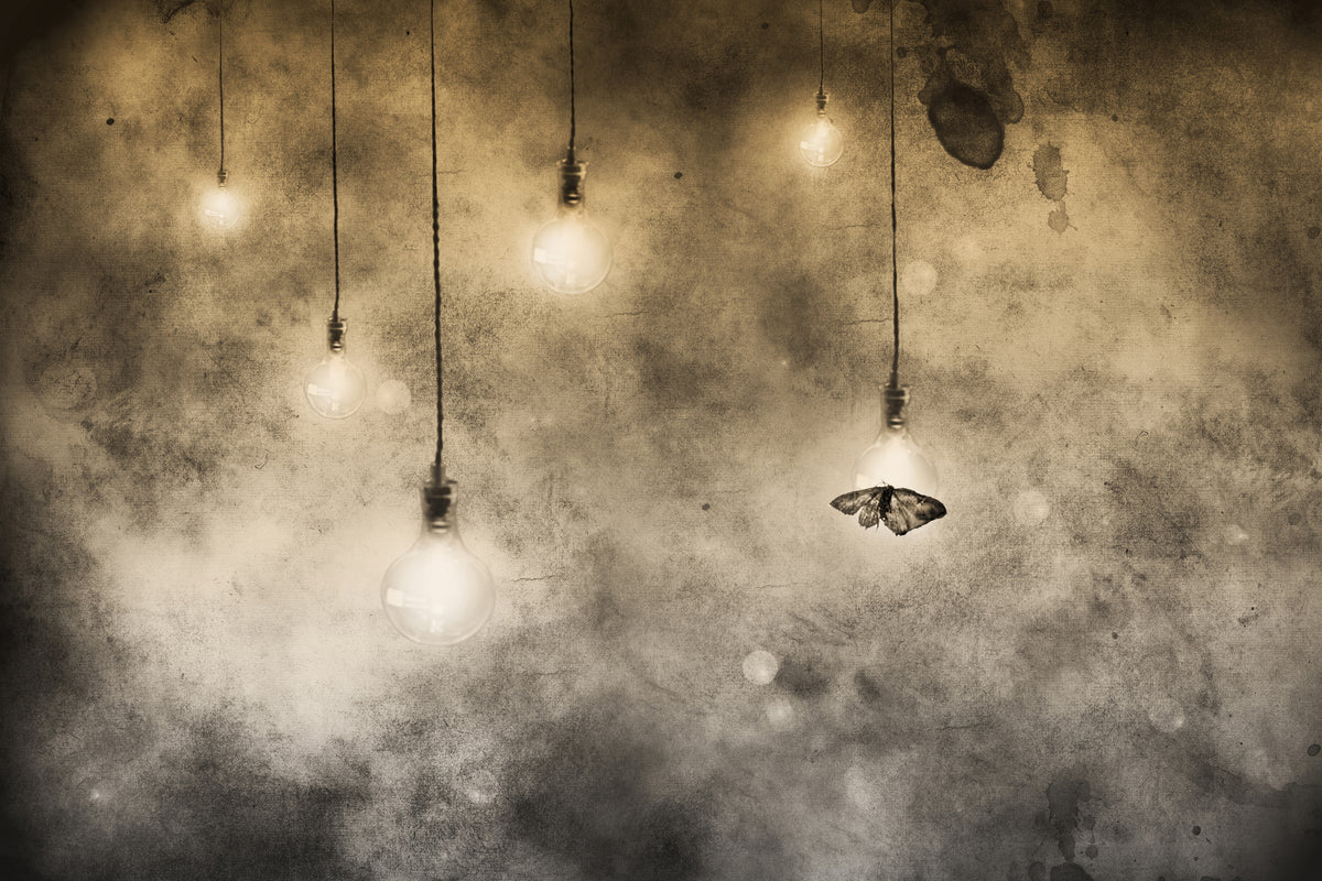 3-piece-aluminium-print-attraction