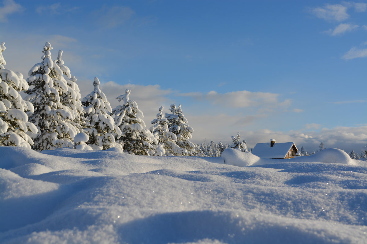 canvas-print-beautiful-snow-landscape