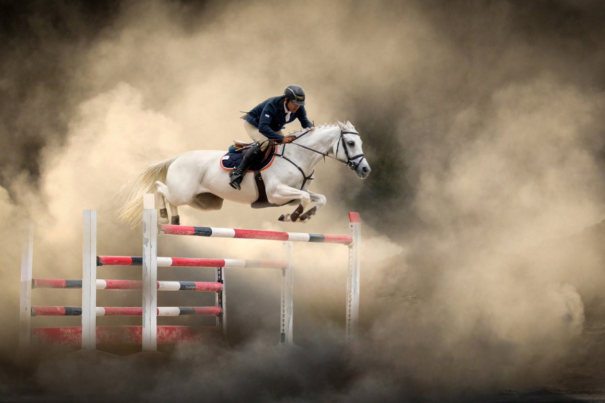 framedposter-print-white-horse-x