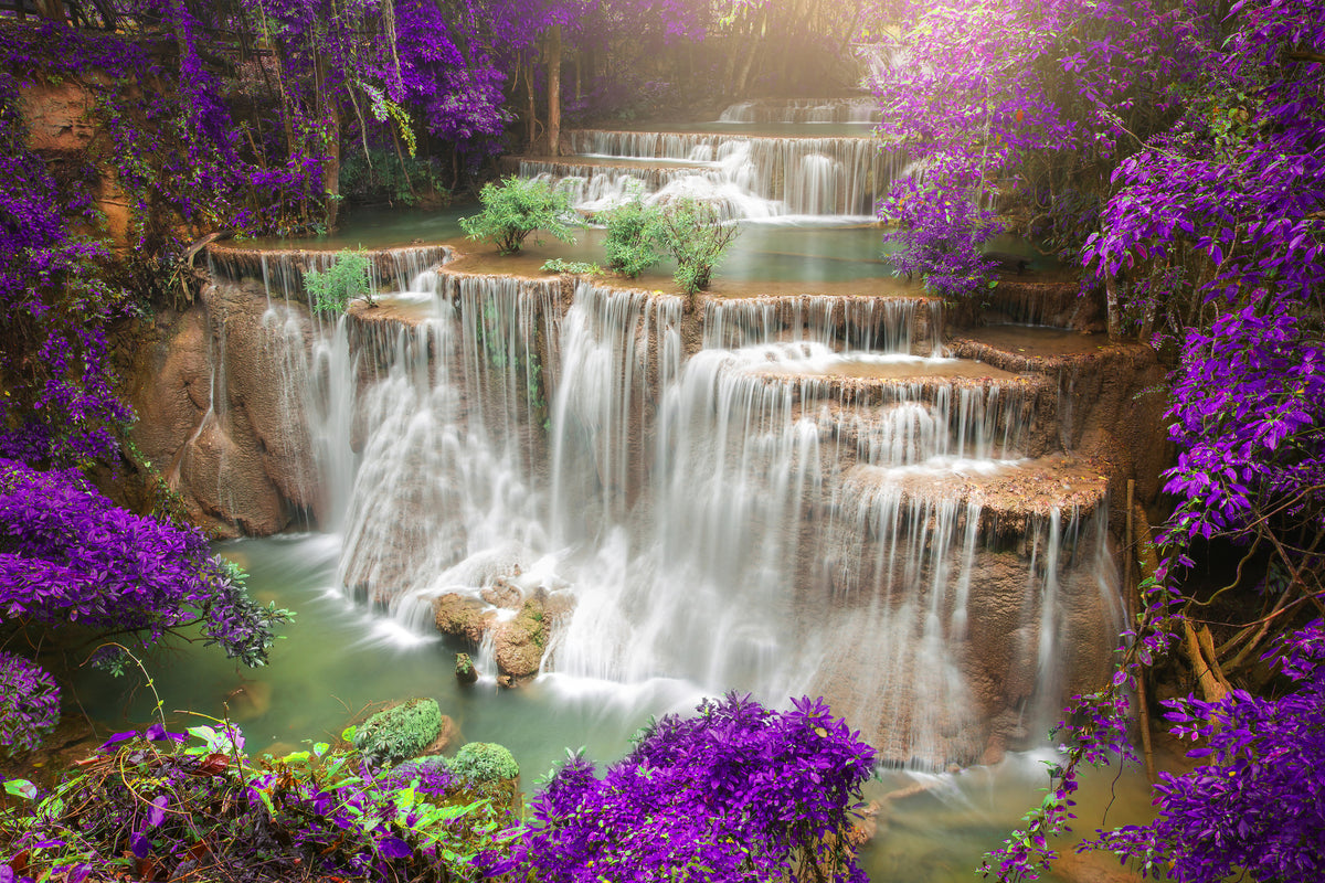 framedposter-print-photowallpaper-garden-eden