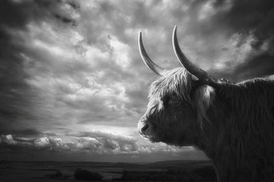 poster-print-the-highlands-x