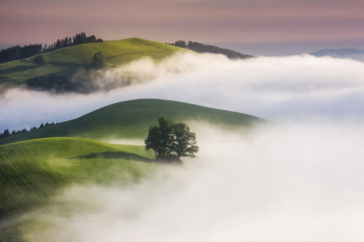 canvas-print-green-hills-x