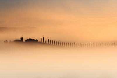 poster-print-foggy-sunrise-xam