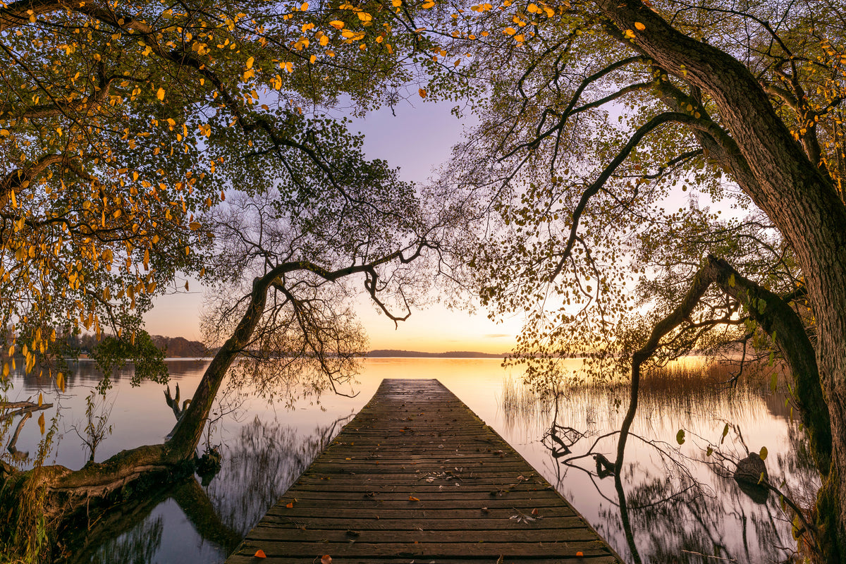 framedposter-print-autumn-xkt