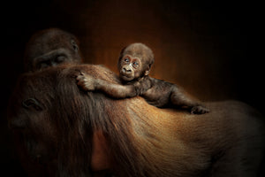 poster-print-new-life-x