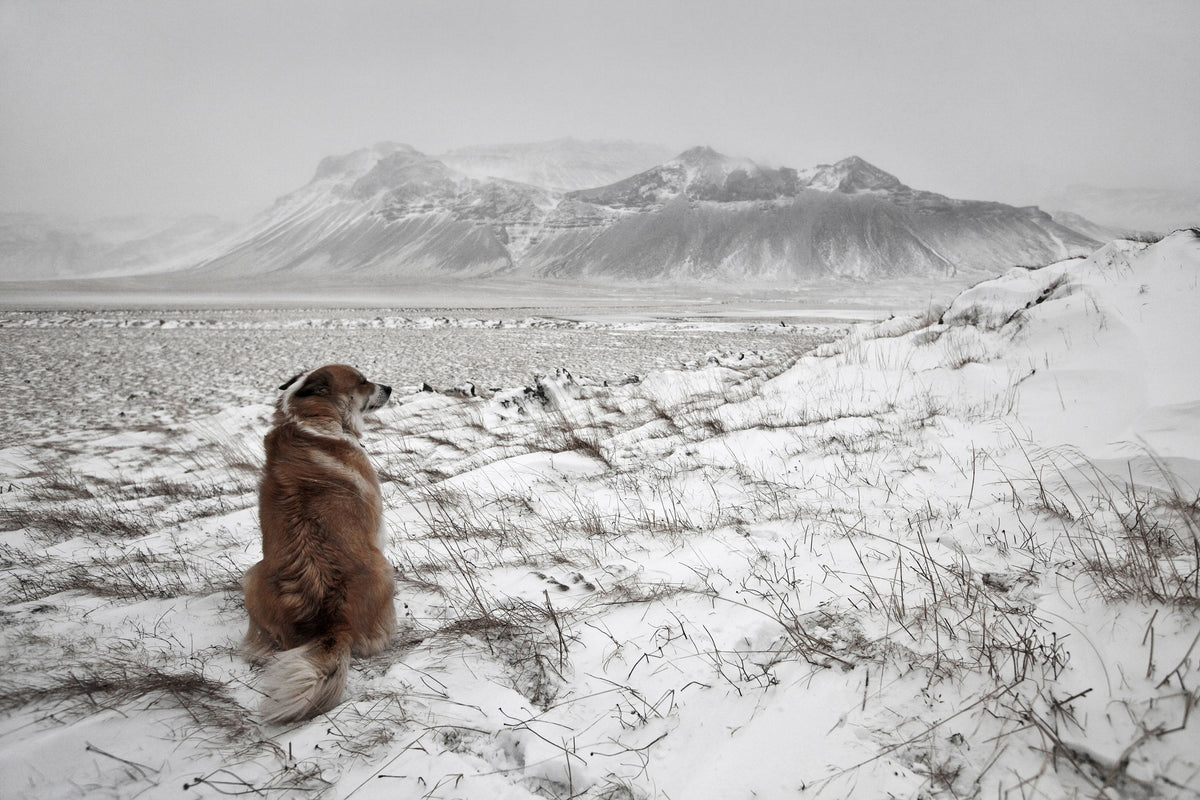 aluminium-print-snowstorm-x
