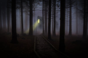 framedposter-print-fog-in-the-forest