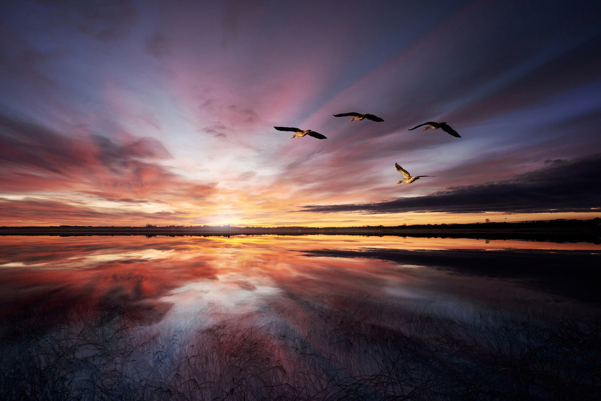 framedposter-print-morning-mood-x