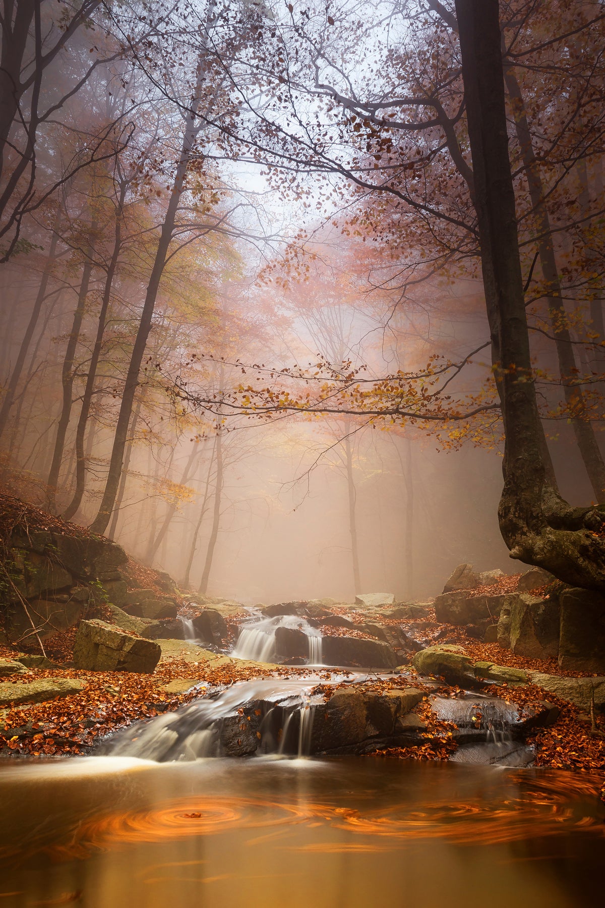framedcanvas-print-mistyc-mist-x