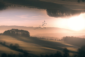 3-piece-canvas-print-interplanar