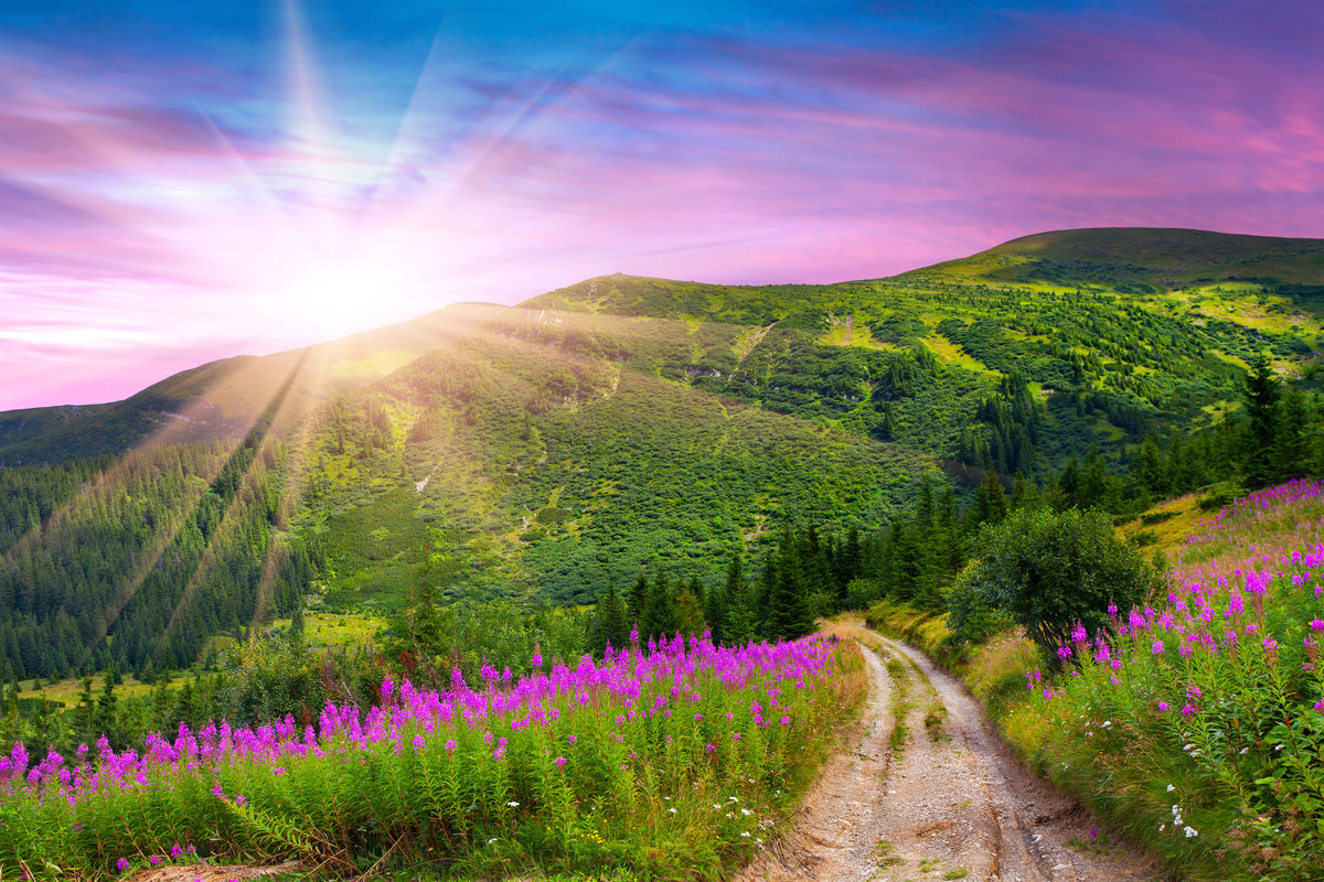 modern-3-piece-canvas-print-a-summer-landscape-at-sunrise