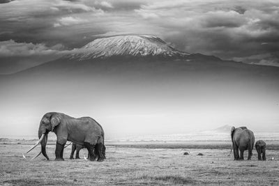 poster-print-the-land-of-giants-x