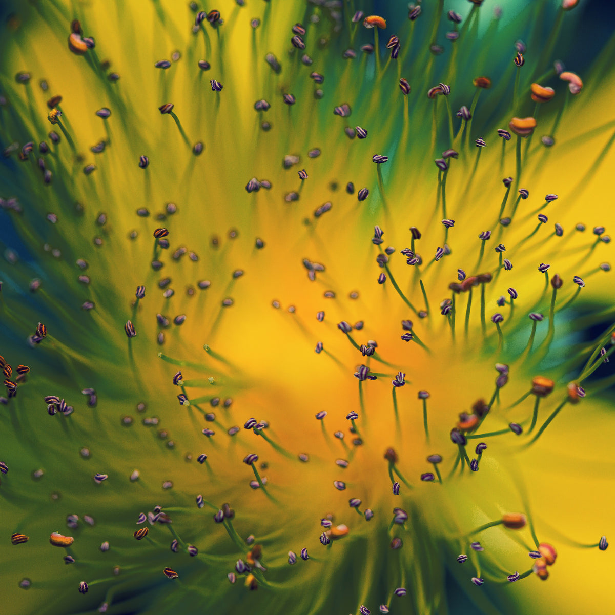 canvas-print-creation