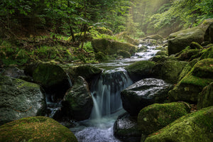 3-piece-acrylic-print-calming-view