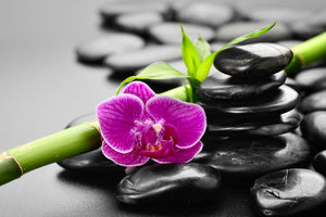 acrylic-print-feng-shui-orchid