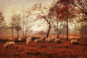 poster-print-last-days-of-autumn