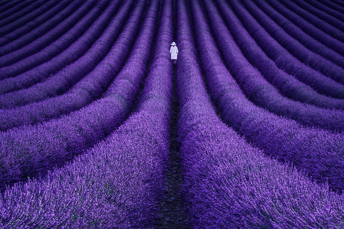 canvas-print-she